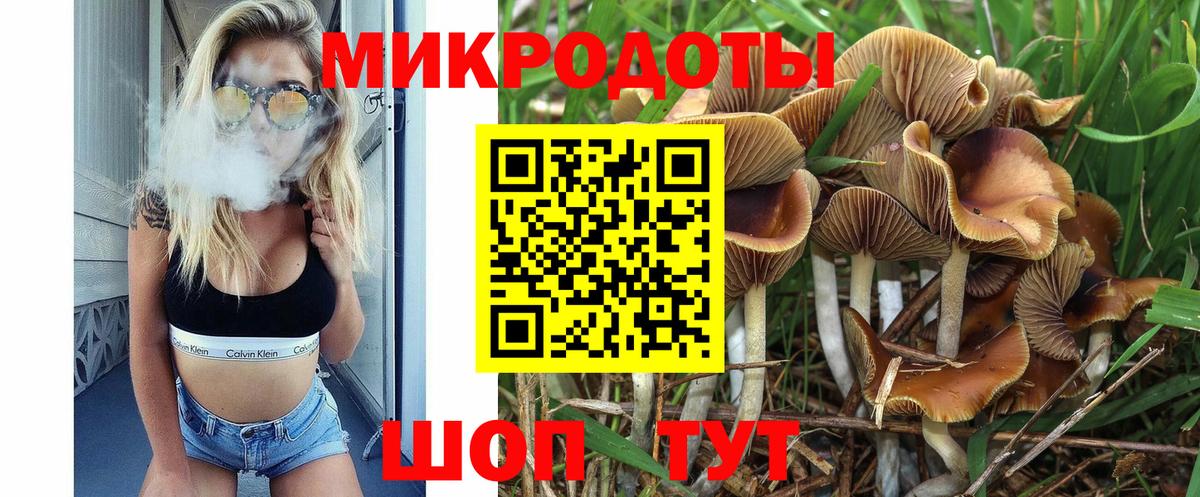 Галлюциногенные грибы прущие грибы Энгельс